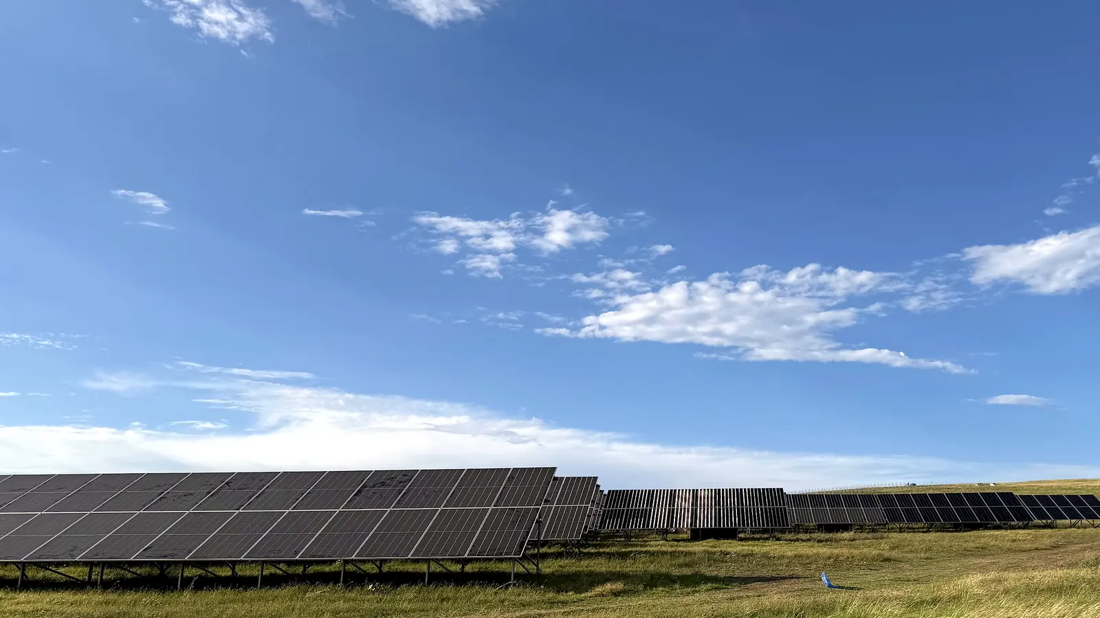 Rows of solar modules at Mukhiani One under a blue sky